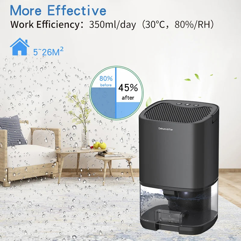 Portable Air Dehumidifier