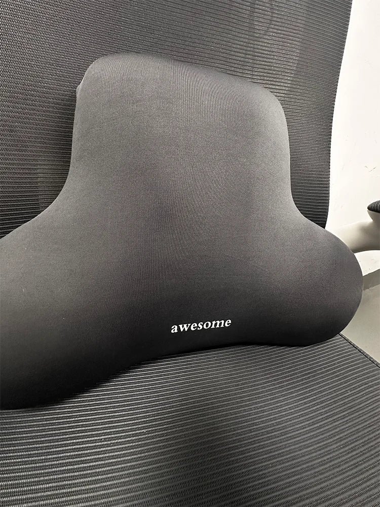 LumbarMend Support Pillow